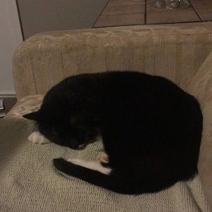 Meet your Posher, Angela